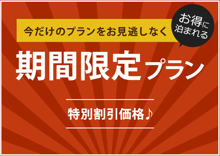 期間限定プラン