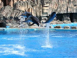 名古屋港水族館