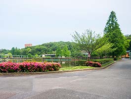 東山動植物園